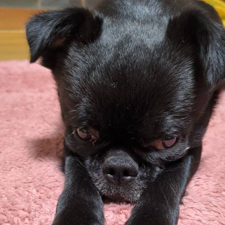 855722cd fd6a 443a 9913 187f25782e25 1770470444474