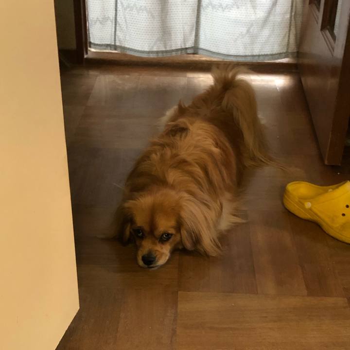 85574ab5 cb17 4a89 8810 3ee8f50689c8 1557957846740