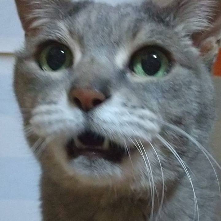 855783d9 f794 4bc9 82c9 9a181d843a45 1616593938746