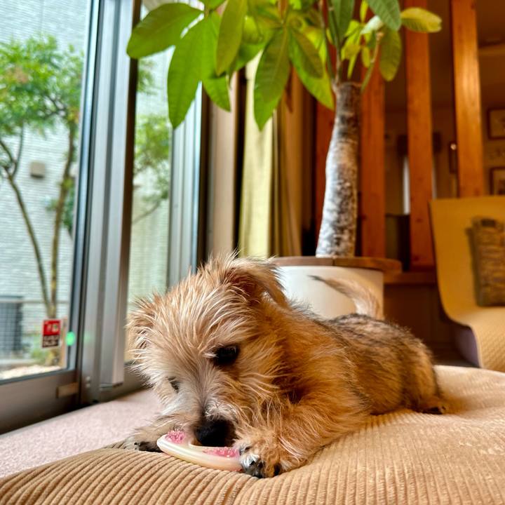 85578f50 c958 469b 860f 813510247d77 1702387289124