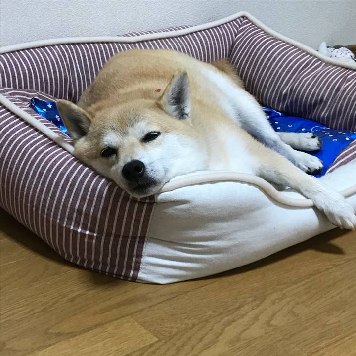 8557a74d 222a 4460 9b93 45e7b1b0b8a2 1530103501532