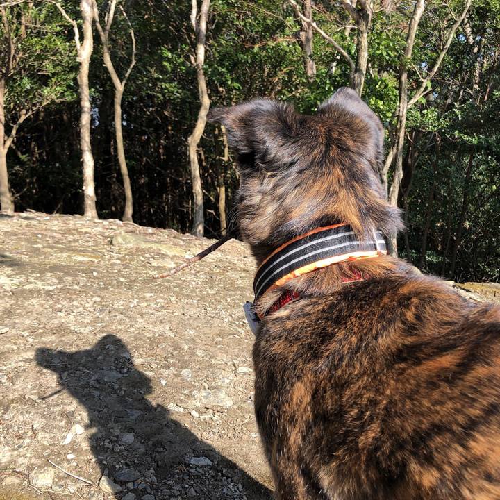 8557d06e 2df5 49d9 90a9 850039f75ccf 1612226969081