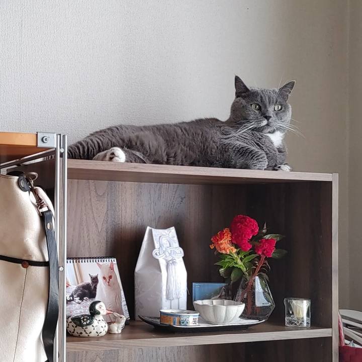 8557da2e 4725 4d1f acd5 7154af5d4f38 1661048136323