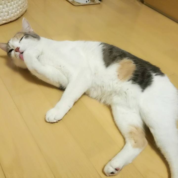 8557dab7 73a7 49b1 80f8 51390bcead2c 1544946147573