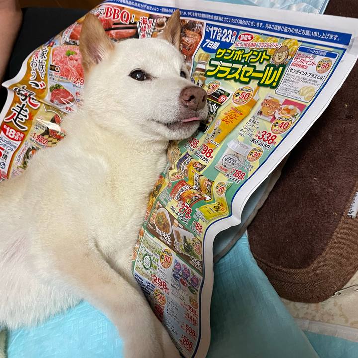 8557f375 c0ca 4734 ba6c 790d07435e0e 1663504817454