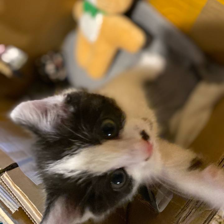 8557f69f 52f1 43b6 969c ef7946017a61 1651658366661