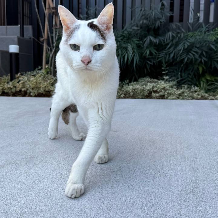 855839d7 bef0 4c35 89fd e218a710e58c 1765842815035