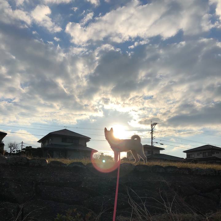 85583c0d 3f50 4462 89c1 78269b6fd27d 1513951048516