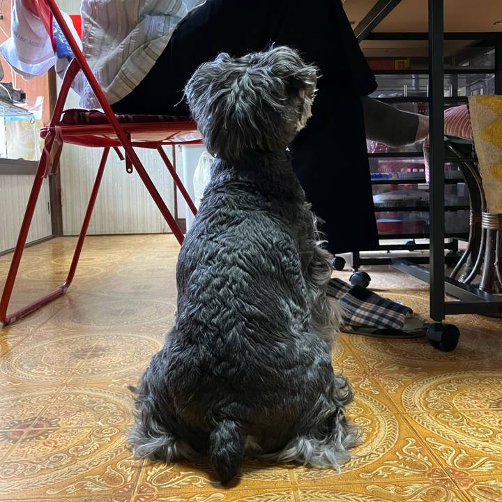 85584972 12e6 441b b58f 1f9cb9264567 1717209847322