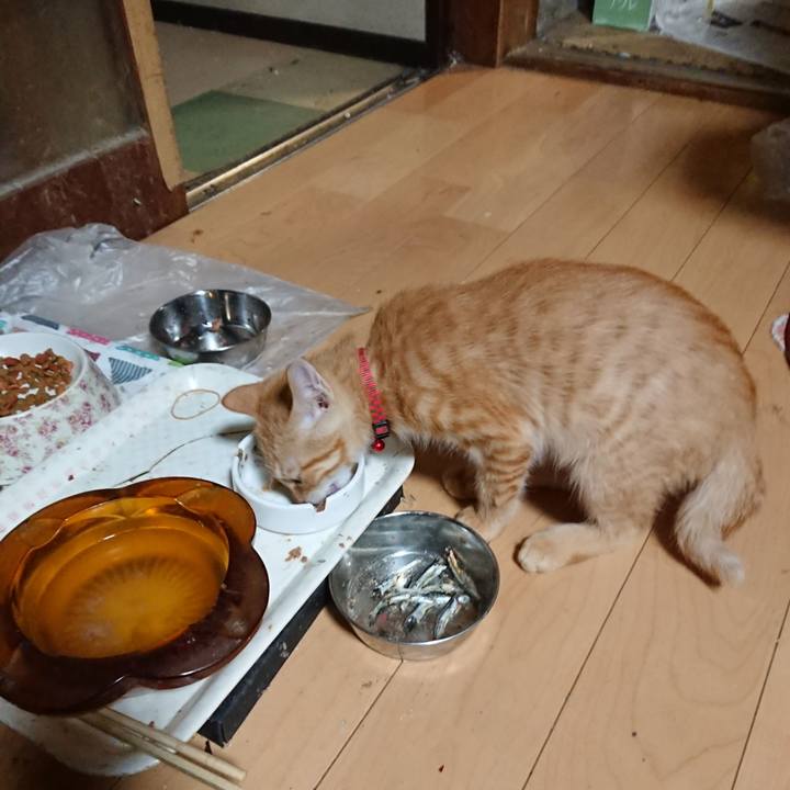 85584b2d ef36 4b0e afa4 95d26f66700d 1632306996427