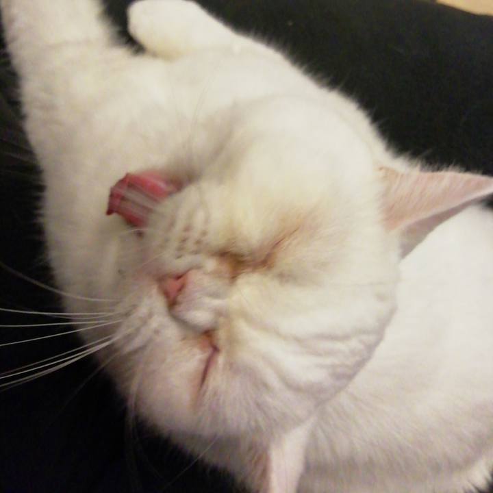 855873ff 9a02 4bde b526 ca0fed15016f 1605996238751