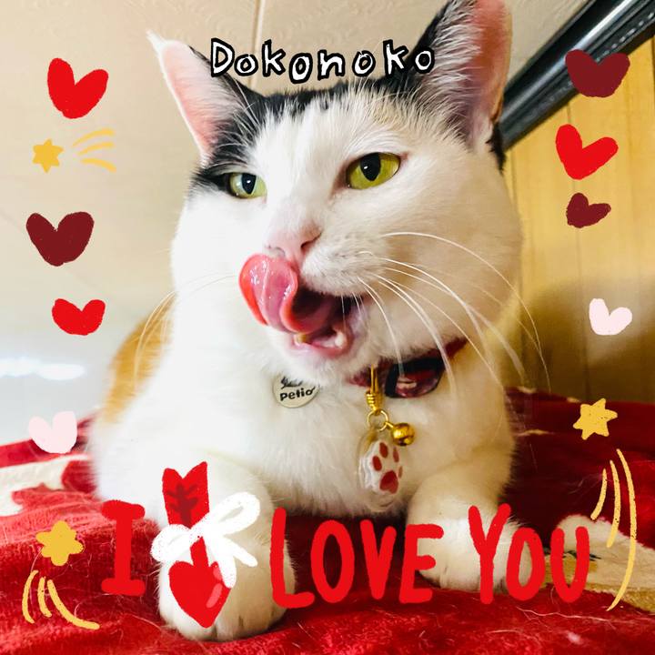 85589185 44eb 4959 93b2 0d4e04aabfca 1706795760860