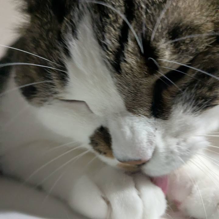 85589840 f441 440b b745 79a11b940012 1751231798496