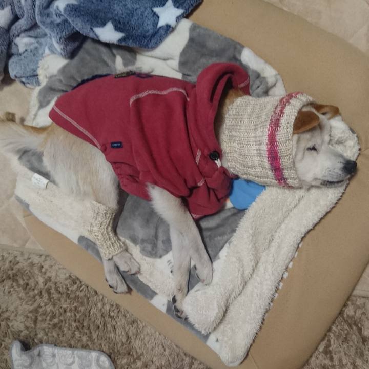 8558c790 00e1 4015 b295 d69ee02a5683 1611320159392