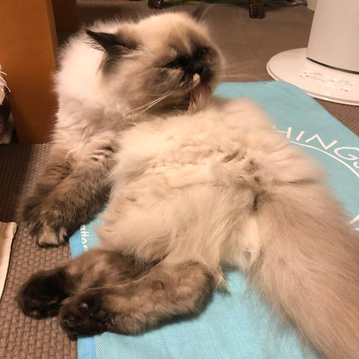 8558cdaa 888b 4e01 b816 e766d1bb07de 1637150474448