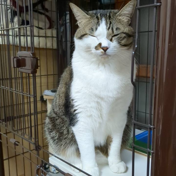 8558edcf 47cb 4542 9f71 f9a4ba985aa1 1667303564324