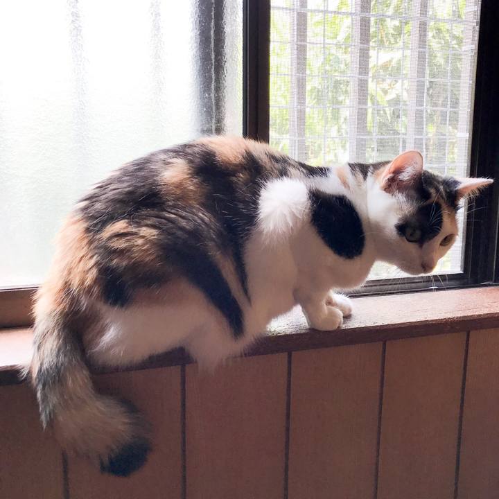 8558f4c8 be41 4569 a6b6 11f60bd4082a 1532308250585