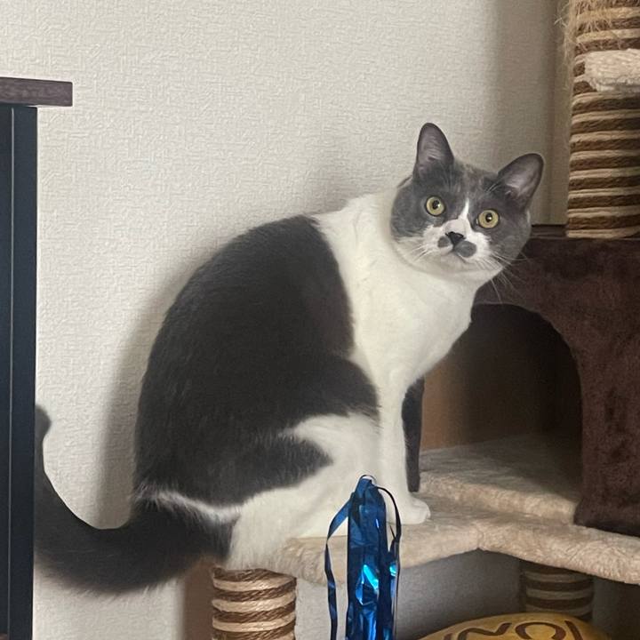 85593460 2038 48a8 8955 541a2749a2e0 1723678743133