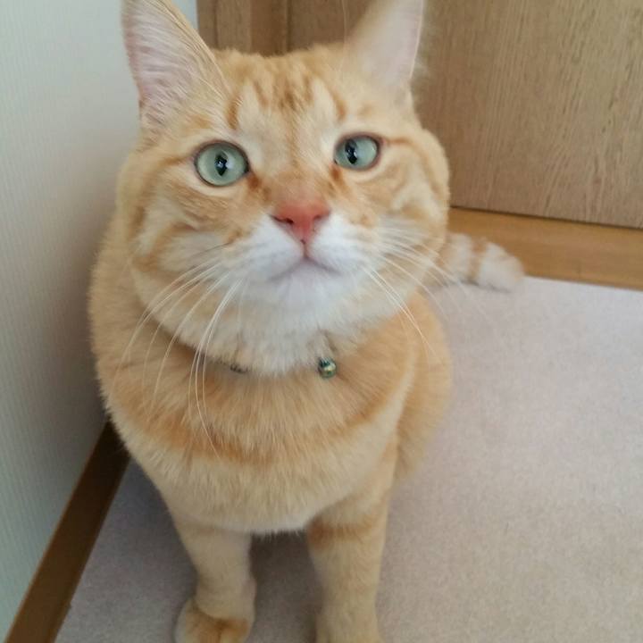 855939ed d2d3 49c3 9d3b da66b76e3972 1538357980577