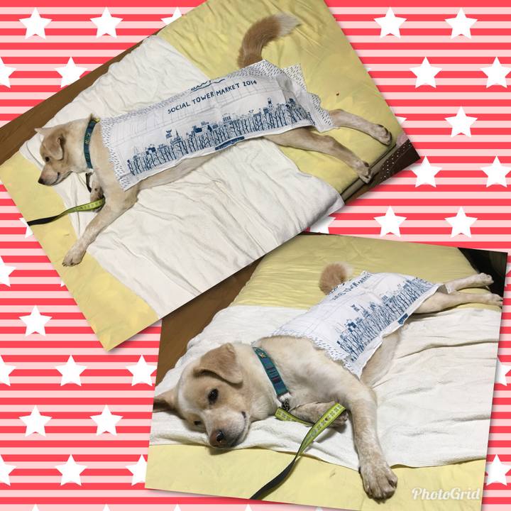 85595d64 5e87 434c b571 ada0743011a5 1530714856951