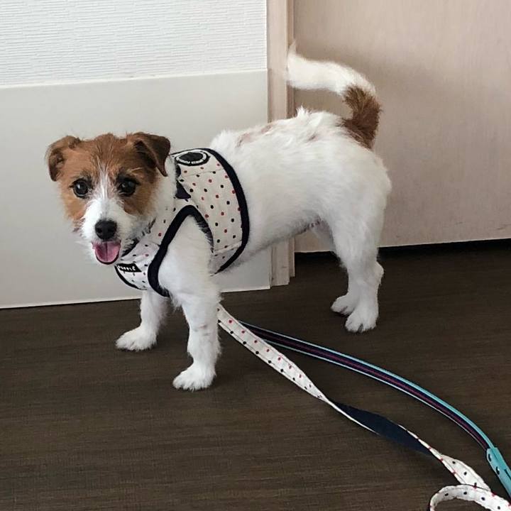 85598b8b db04 4688 af4e 15a45bf83431 1535618259110