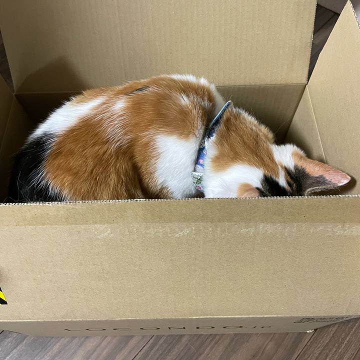 8559989f d0b0 4e8d b72a ae6ff8e748ca 1716385944596