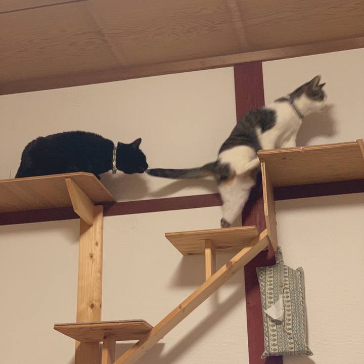 8559aaa5 b825 49ec a360 c0a603a9026a 1581342918008