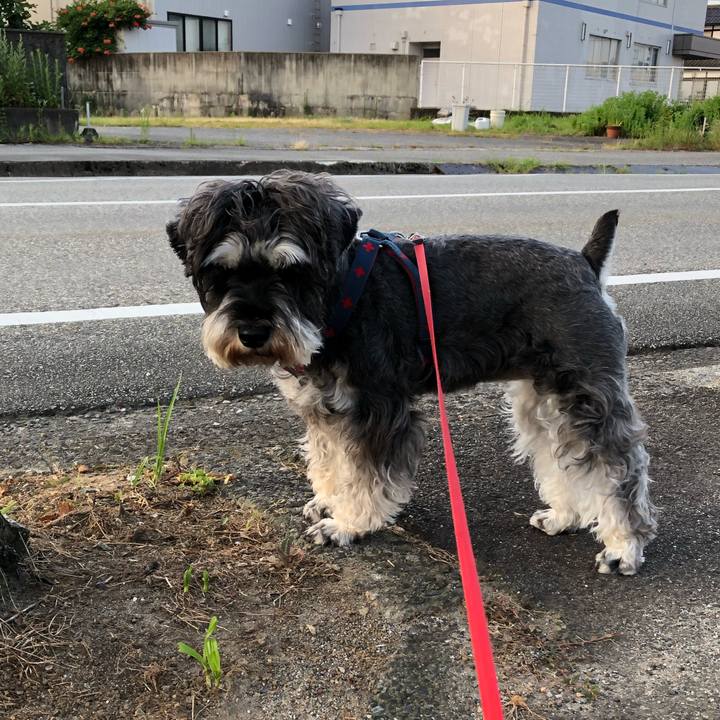 8559af08 31ef 4fdf 872d ce56ca4cea66 1626986211260