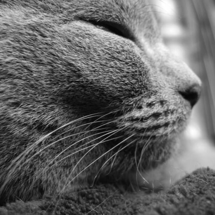 855a1cdc 3703 4fb3 b2c5 ee787a2dfb5b 1508633389642