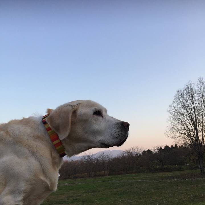 855a2fc3 ae96 4844 876b 507d1ae3b209 1552287949307