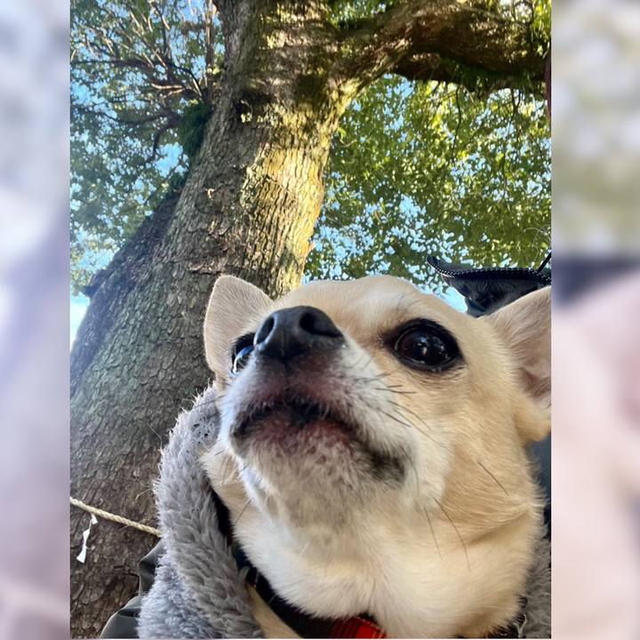 855a780a b31a 4f64 b6b7 77c1ba2763a5 1674883023940