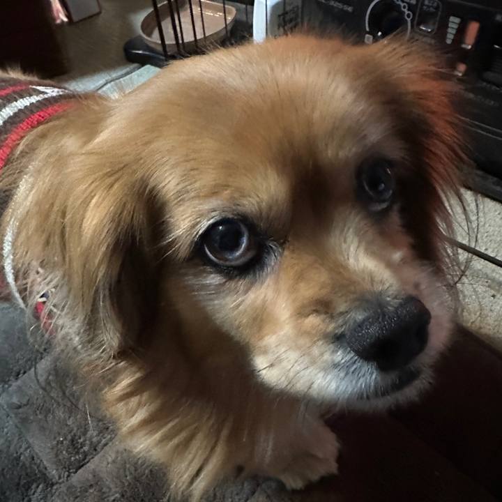 855a84ee e373 4f16 8adc 9e1bd519f4d6 1736977281296