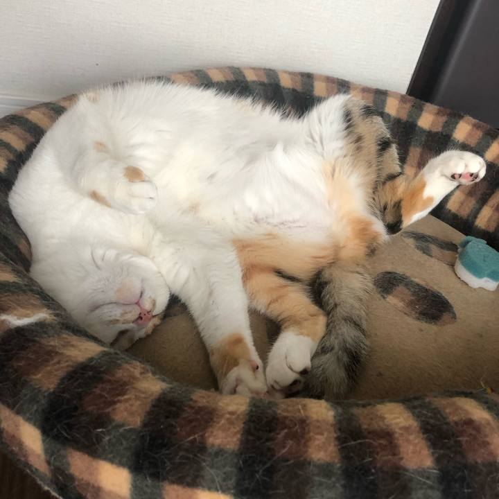 855a8e3c 0edc 4a42 b093 21ac8ae58e55 1590898088188