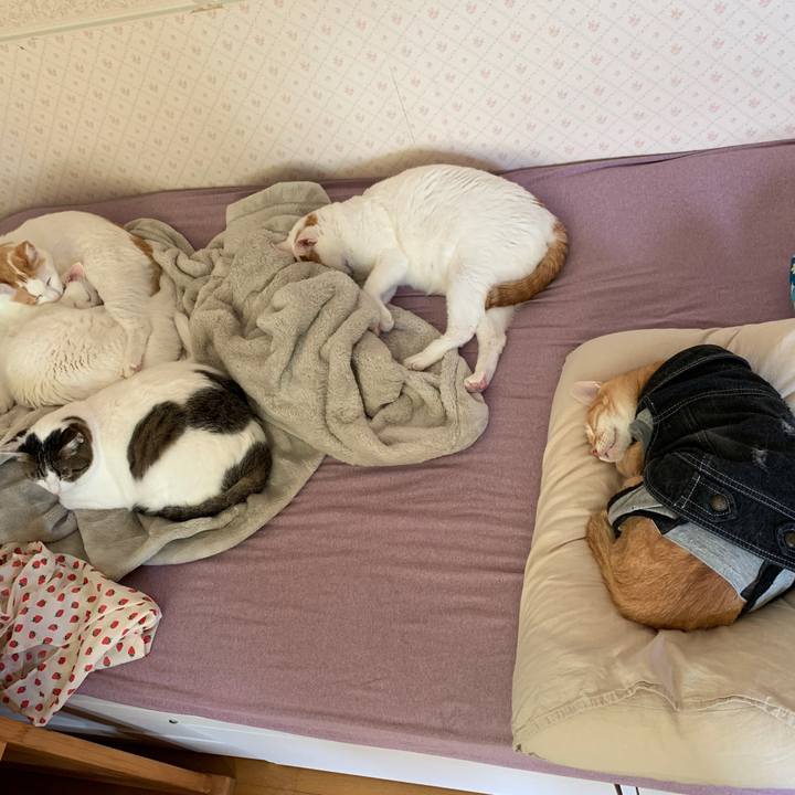 855a9b9a 40bd 4224 b8a8 d6c578fdce89 1652590651396