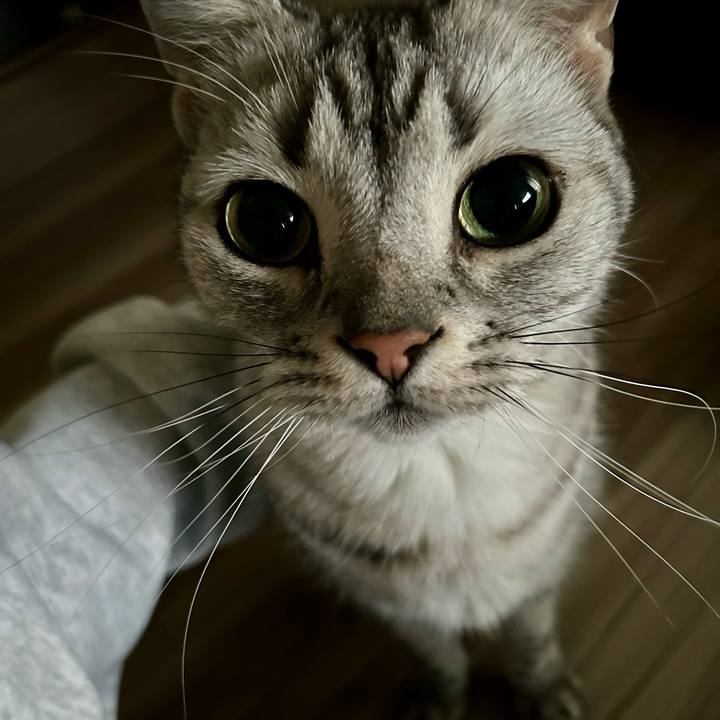 855ad945 8764 48f7 962b 2c3e38c3c4cf 1734259899679