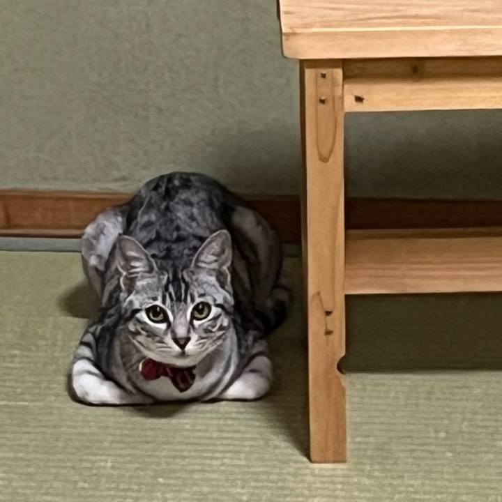 855adc88 29d9 4f7b bafd cce93d414a7e 1715929851345