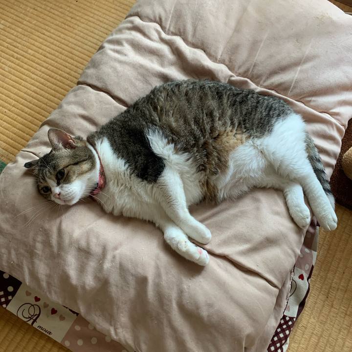 855afc46 ae55 4cbc 941e ec99535ac7e2 1687941039609