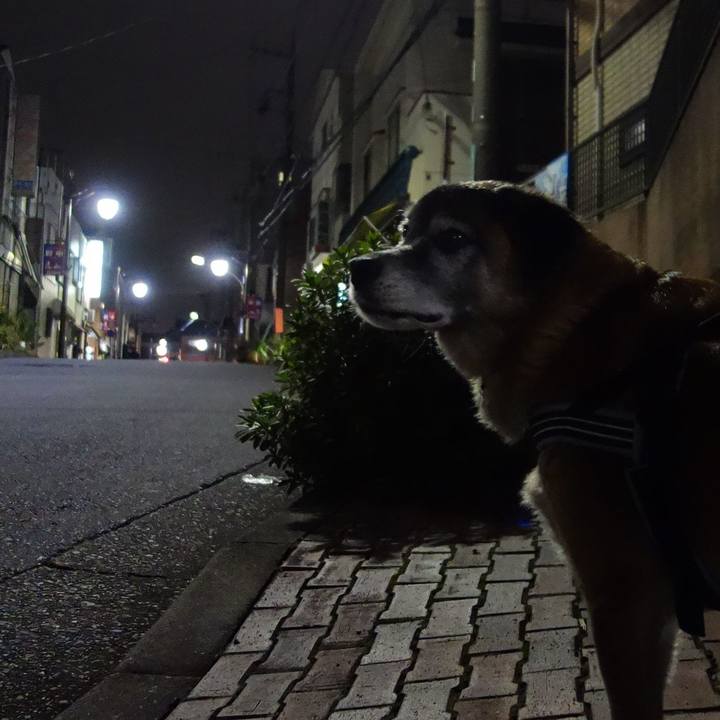 855b0449 8f34 4b64 9f94 ed45b09e49f7 1574589119702