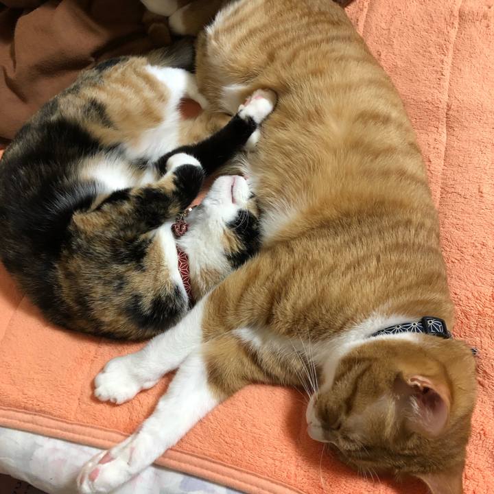 855b1627 cebe 423e aed5 3be8ffe72c80 1557661718375