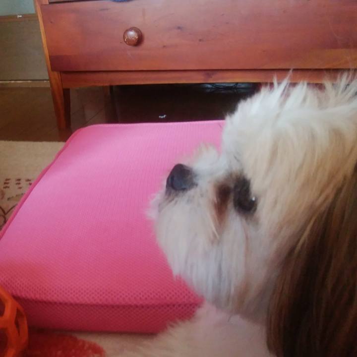 855b3de7 74ab 4d4a a714 3cc1019f0051 1510468364121