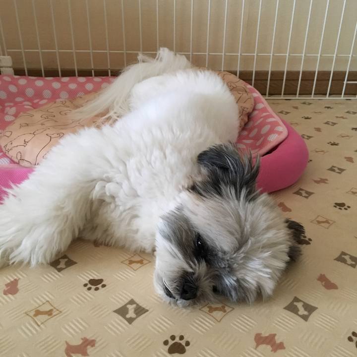 855b411b 1f16 4150 bf19 9522c6afacca 1532327541310