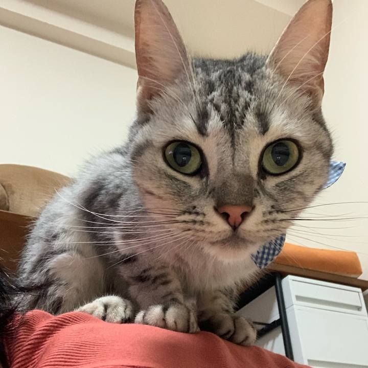 855b5a6b 3664 4b36 901d d27235140988 1568288974694