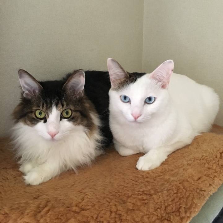 855b7226 b37b 4d30 87cf e31027c717e6 1663106301986