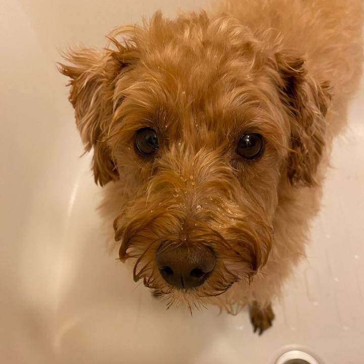 855b7fab 7b46 4ddf b737 864f8d1d57e0 1628199939253