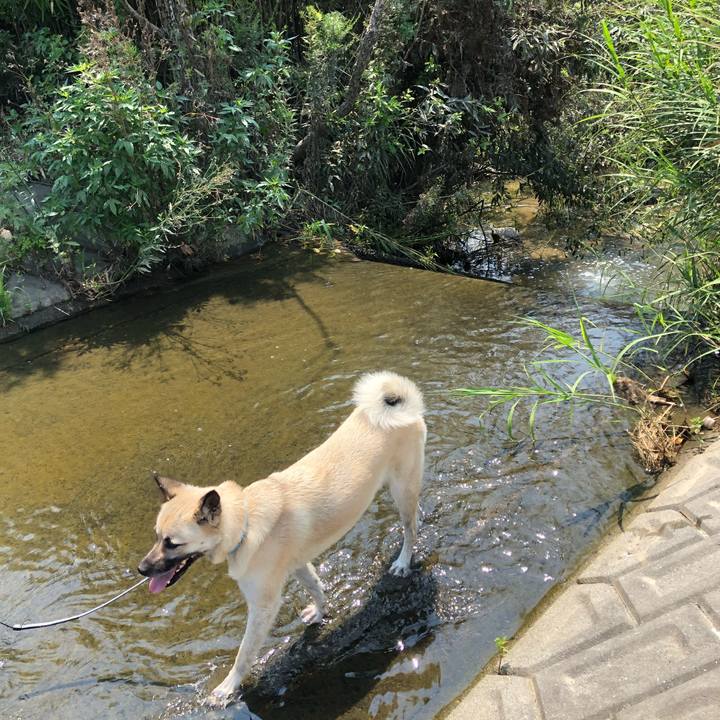 855ba3bf 9814 4a79 9b84 5136573c956f 1531720293803