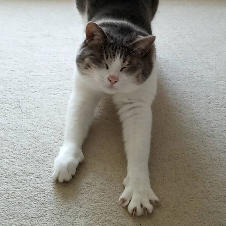 855ba778 cb02 41ab a02d e5b9f47ff0b5 1569047410503