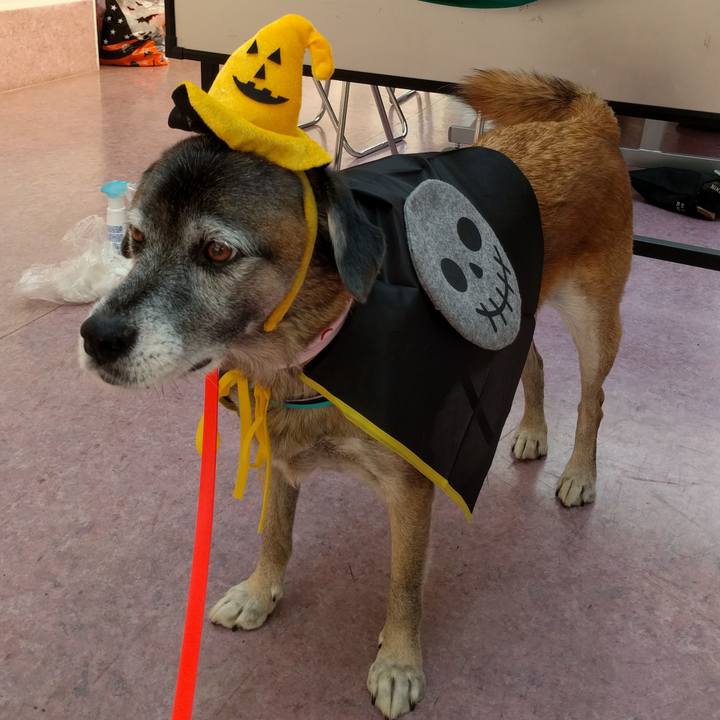 855bab90 3fe3 4b4e 923f 7d22225447ea 1540453229229