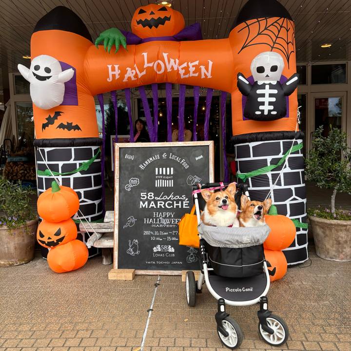 855c1c69 42c0 429a a2f1 22aa58357a82 1730002652571