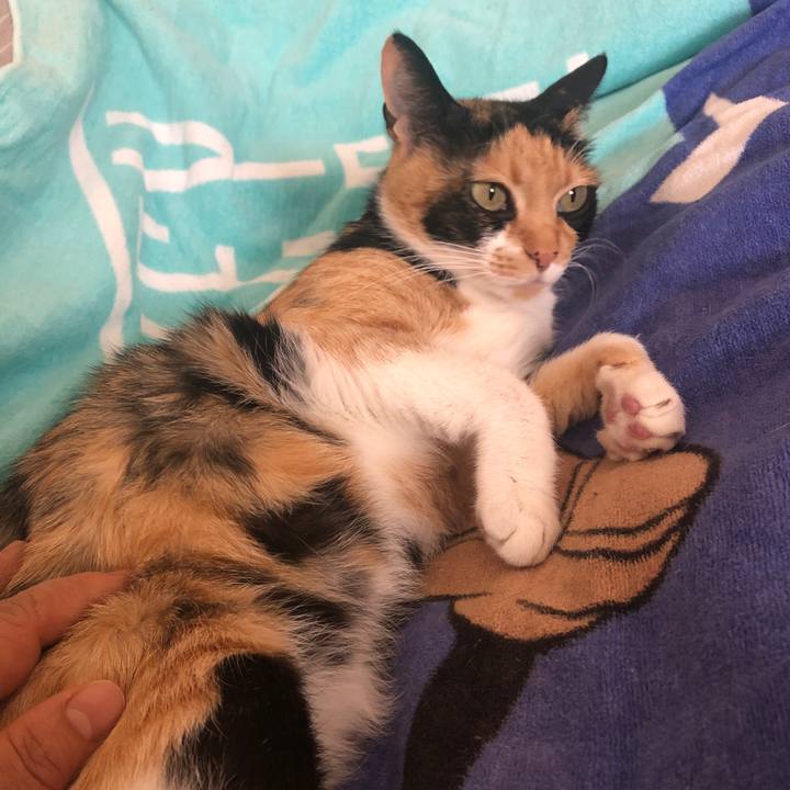 855c3439 485f 4644 950c ba2143f8e881 1645495377479