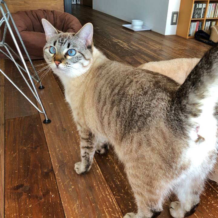 855c397d 0d0b 445a b3f8 577263511789 1769401252540